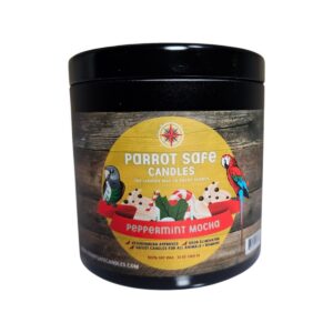 Peppermint Mocha Candle