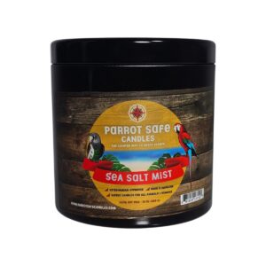 Sea Salt Mist Candle
