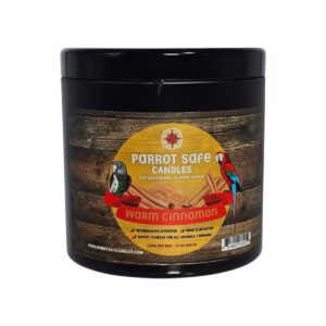 Warm Cinnamon Candle