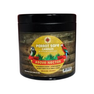 Agave Nectar Candle
